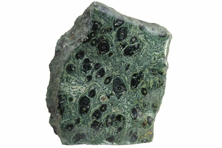 Free-Standing, Single-Side Polished Kambaba Jasper - Madagascar #221064